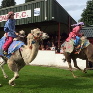Knighton Carnival