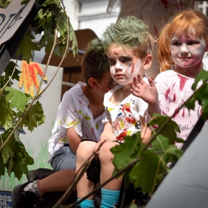 Knighton Carnival
