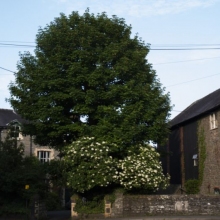 Knighton